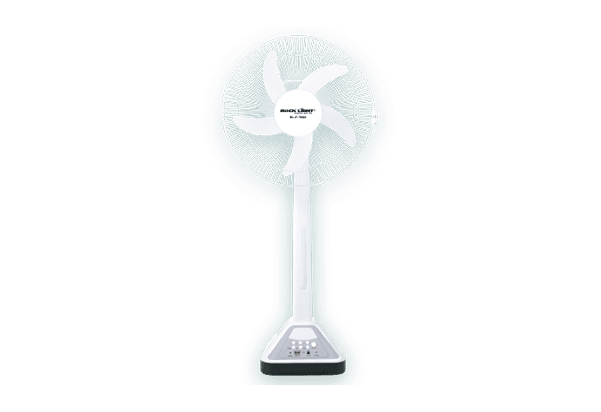 Fans